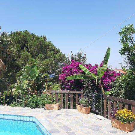 Villa Suites Lagonisi Luxury Экстерьер фото